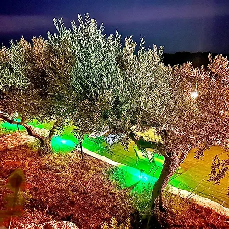 La Collina Sul Mare Bed & Breakfast