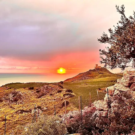 La Collina Sul Mare Bed & Breakfast